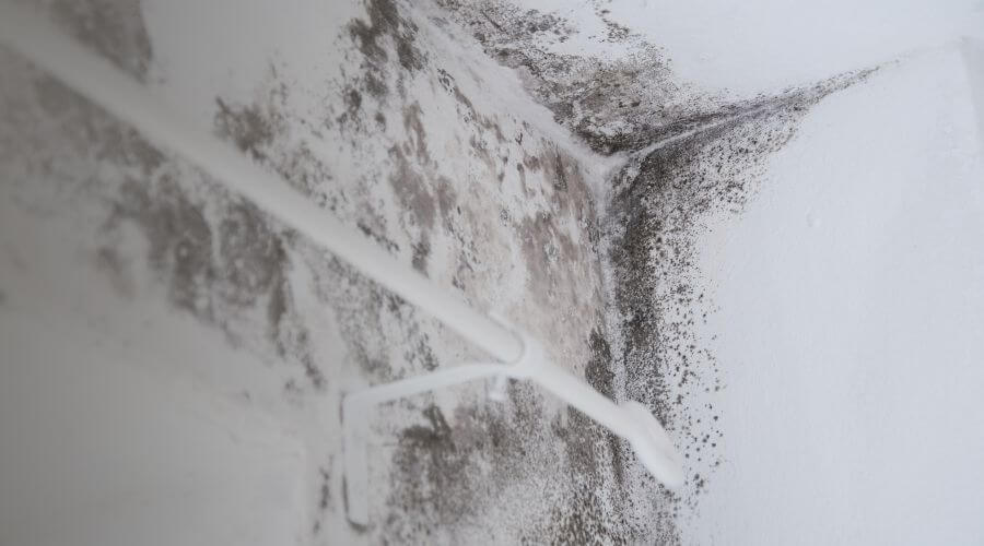 Why choose water damage restoration service for burst pipe water damage in Hartford